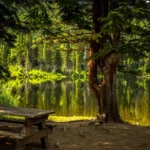 Tłumaczenia zwykłe — kiedy wybrać i na co zwrócić uwagę