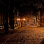 Polski arborysta: wycinka czy badania dendrologiczne?